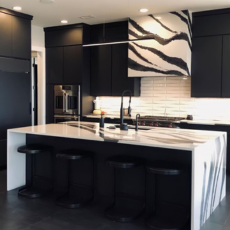 Contemporary Kitchen Remodel by Milestone Countertops project photo